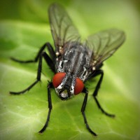 /album/twilightsaga/photolia-a01-jpg/