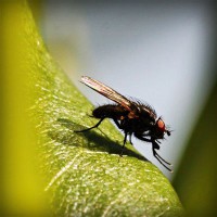 /album/twilightsaga/photolia-a04-jpg/