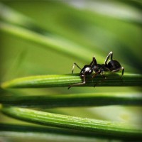 /album/twilightsaga/photolia-a05-jpg/