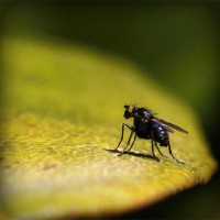 /album/twilightsaga/photolia-a07-jpg/